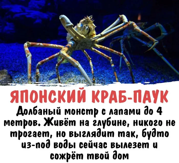 Интересная биология #74