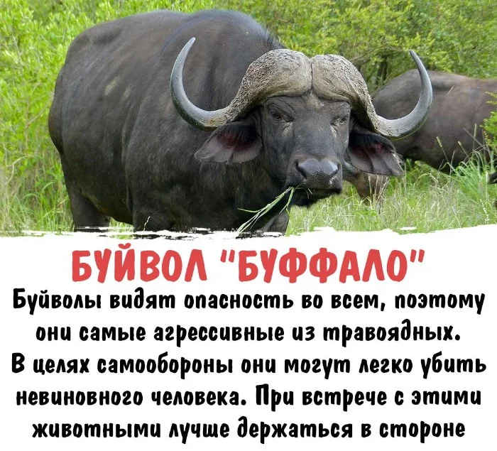 Интересная биология #78