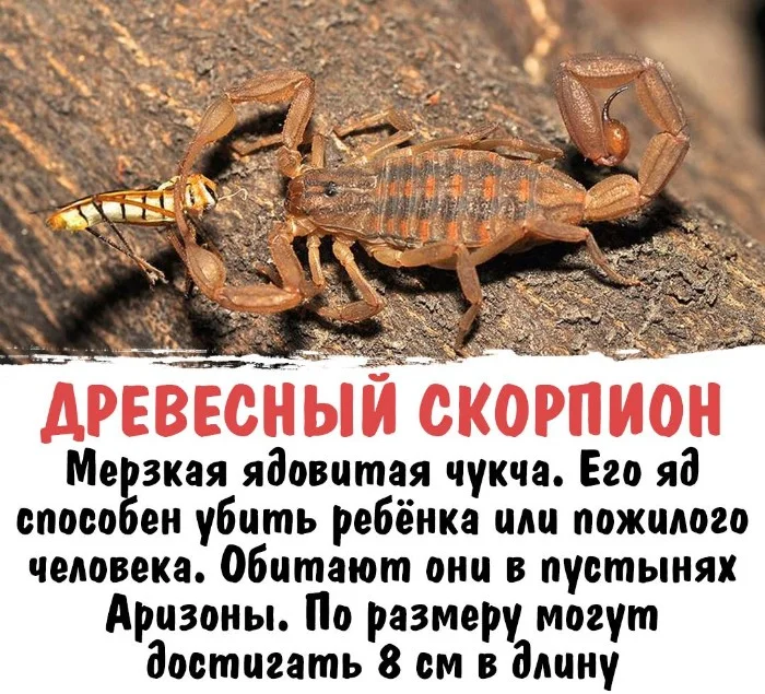 Интересная биология #79