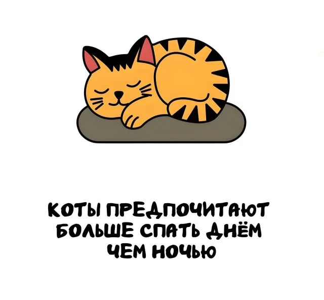 Факты, которые удивят в любой момент