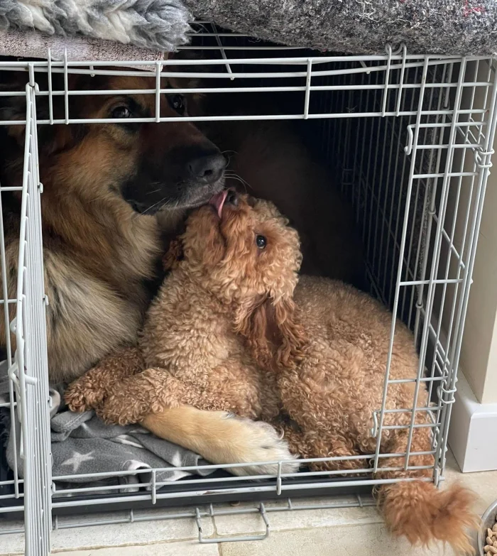 Фотоподборка по одной теме, но с разными акцентами #10