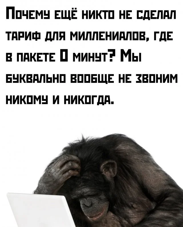 Разнообразие в кадре: фотоподборка без темы, но с настроением