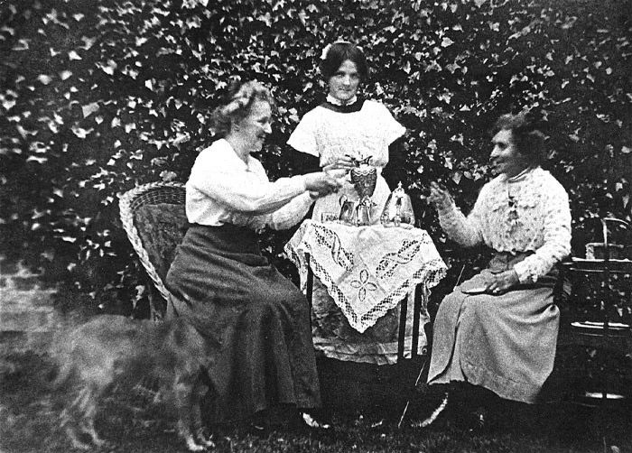 Собака-призрак из Тингевика