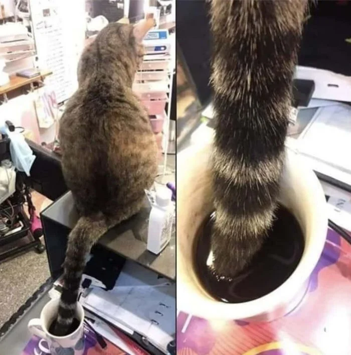 Когда тоска берет верх: 25+ персонажей, у которых поехала крыша