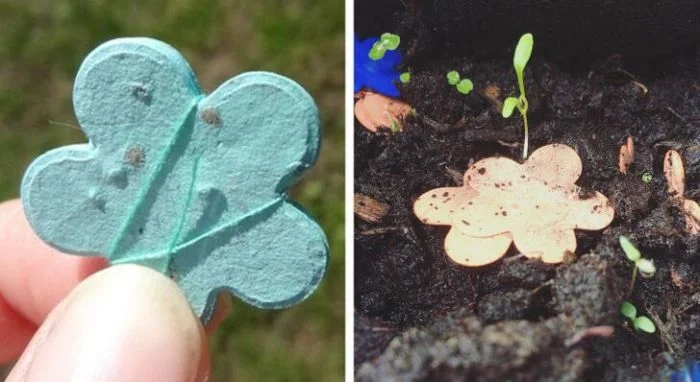 Гениально и экологично: 16 идей, которые улучшают нашу жизнь