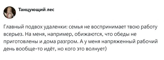 Удалёнка vs семья: пользователи рассказывают, как объясняют родным, что они не бездельничают