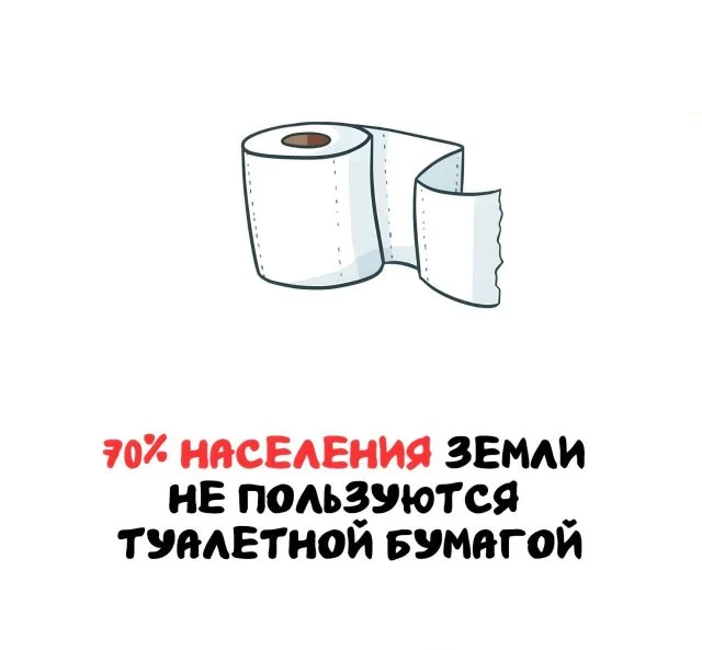 Занимательные факты