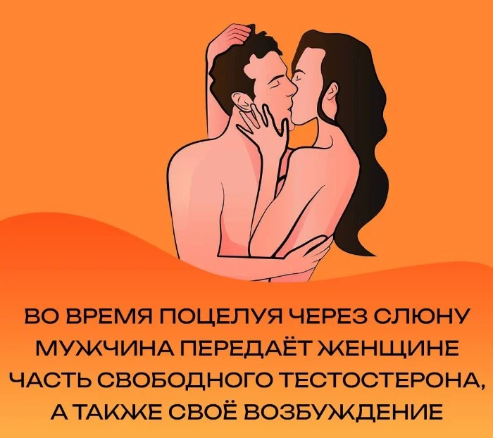 Сексуальная правда: 15 фактов, которым не научат в школе #21