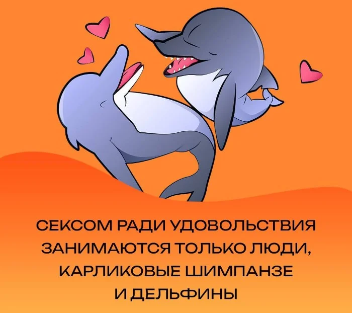 Сексуальная правда: 15 фактов, которым не научат в школе #6