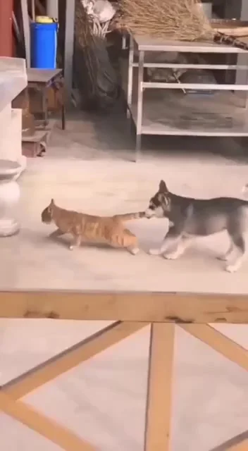 Раскачался