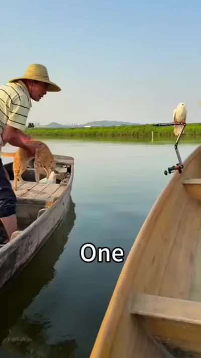 Это похоже на очень полноценную жизнь