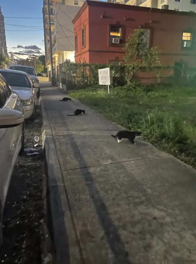 Редчайшие находки, которые вы вряд ли увидите дважды