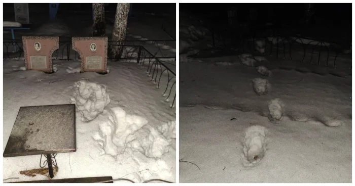 Школьница из Ачинска инсценировала похищение – полиция и жители были в шоке