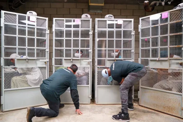 Виртуальная реальность в тюрьмах США: новые подходы к помощи заключенным в одиночных камерах