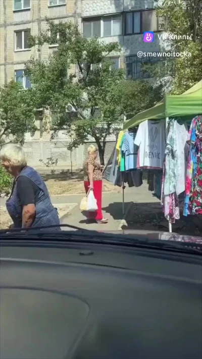 Леопёрд в абсолюте