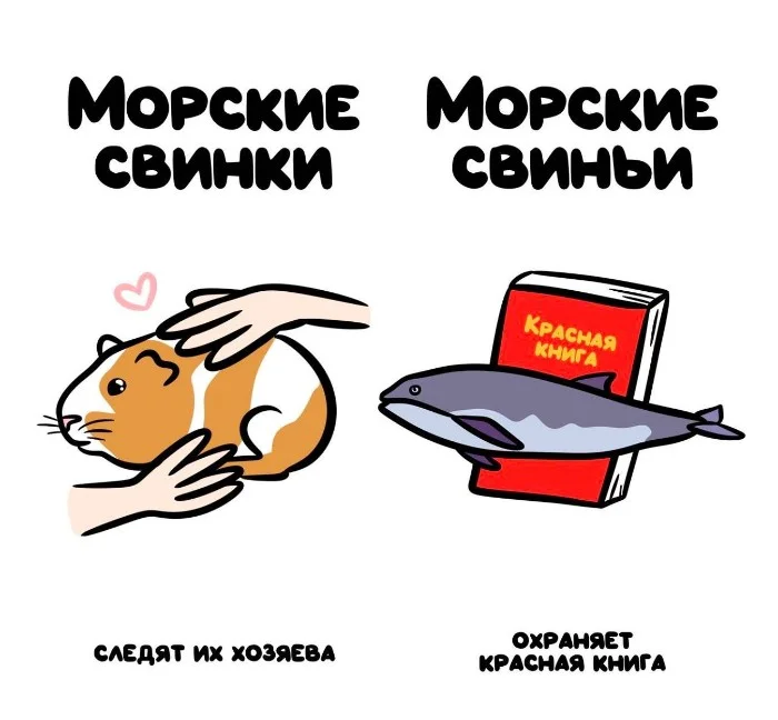 Знай разницу! Различий пост #78