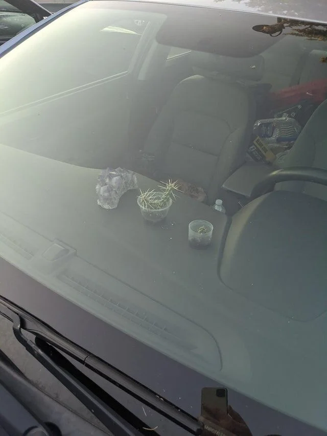 15 безумных поступков водителей, от которых кровь стынет в жилах