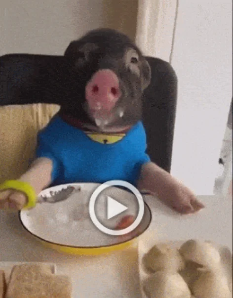 Разнообразные ГИФки #31