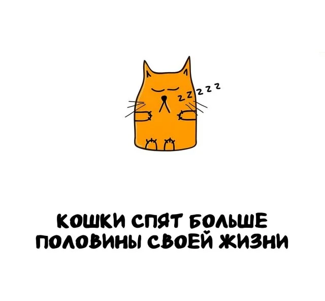 Факты, которые пригодятся в любой ситуации