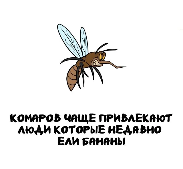 Занимательные факты