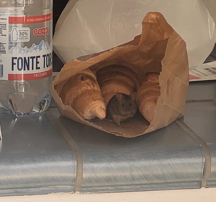 Когда жизнь — одно большое “ну за что?”