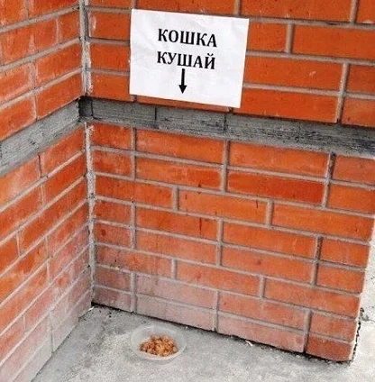 Баянами набаяним