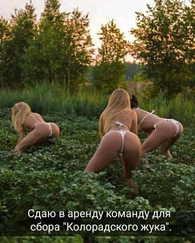 Юмор сугубо для взрослых
