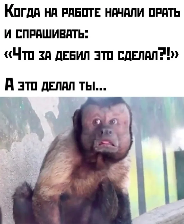 Ого, свежие приколы!