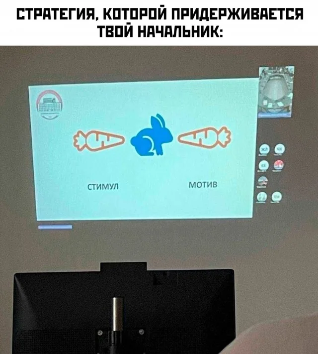 Весёлые картинки