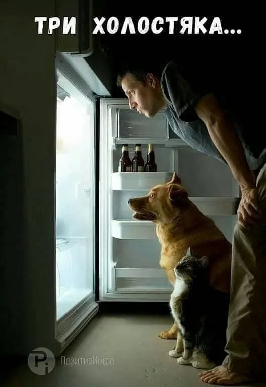 Прикольные картинки - свежо и хорошо!