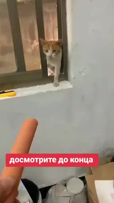 "Что-то в глаз попало..."