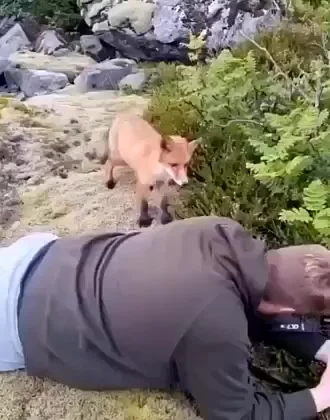 Хочу на обложку журнала!