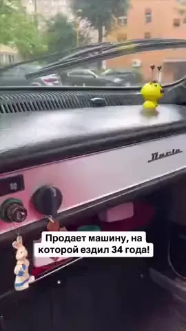 Ничего трогательнее вы сегодня не увидите