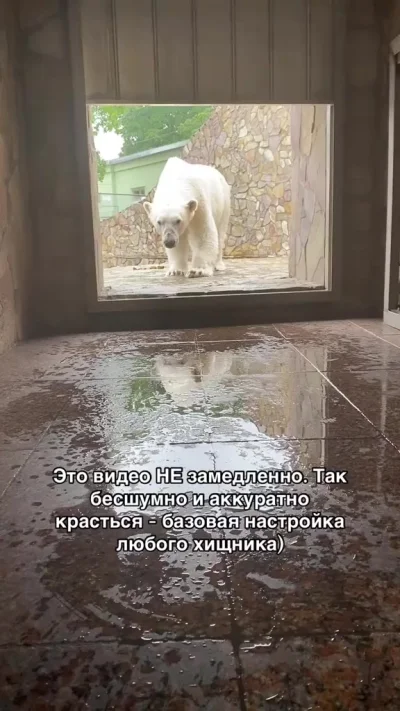 Кродеться