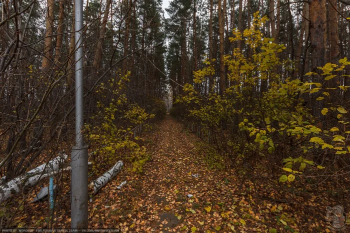 Осень, тишина и прошлое: прогулка по заброшенному пионерлагерю