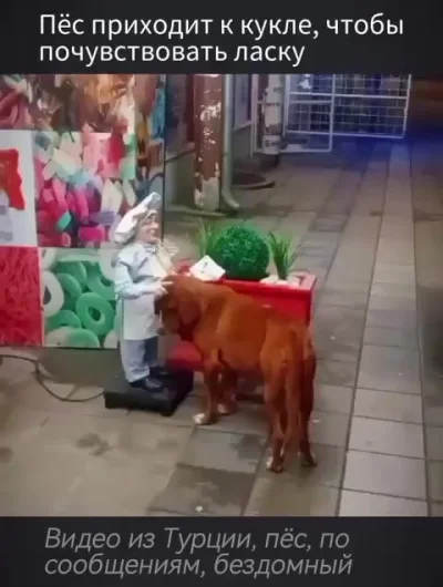 Друзья