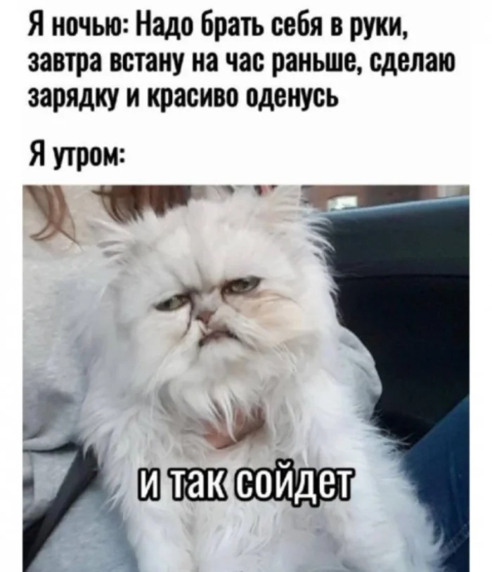 Недосып: как он влияет на здоровье и может ли быть смертельно опасен?