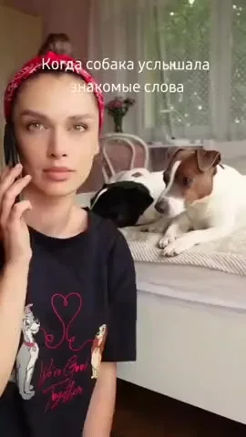Гулять пойдём?