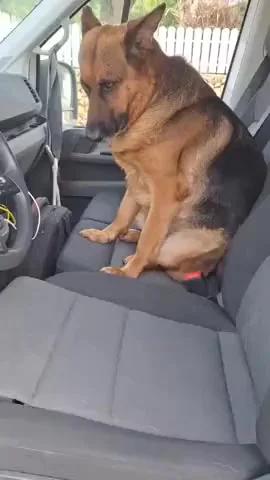 Недоверие...
