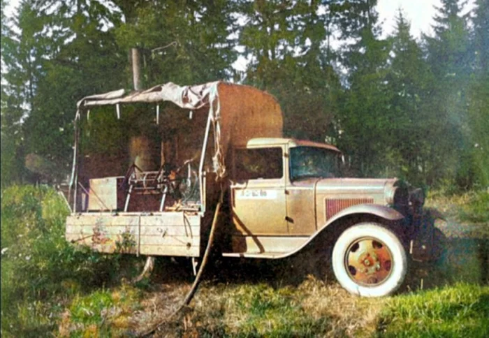 Зачем партизаны Великой Отечественной закапывали одежду в муравейники?