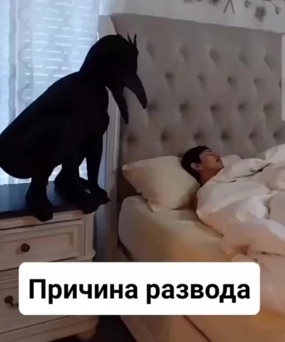 С такой женой и враг не нужен