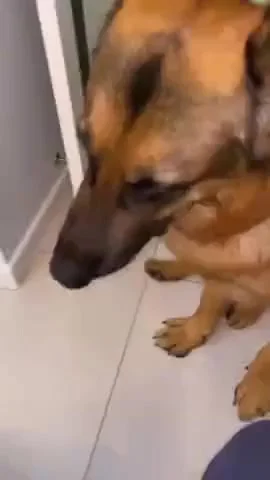 Спрятался! (звук)