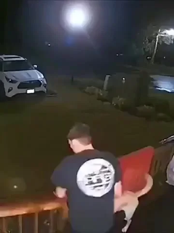 Зачем им намордник? Они же на поводке!