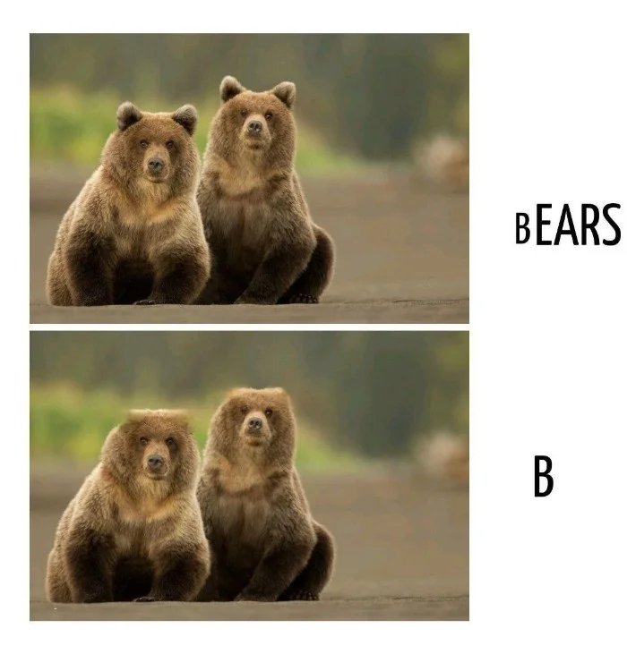 Игра слов #97