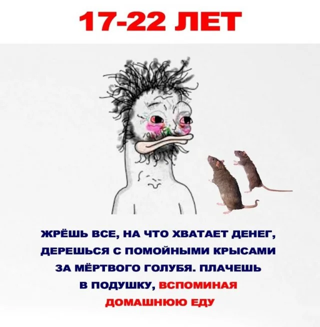 Еда в нашей жизни: небольшая и веселая инфографика