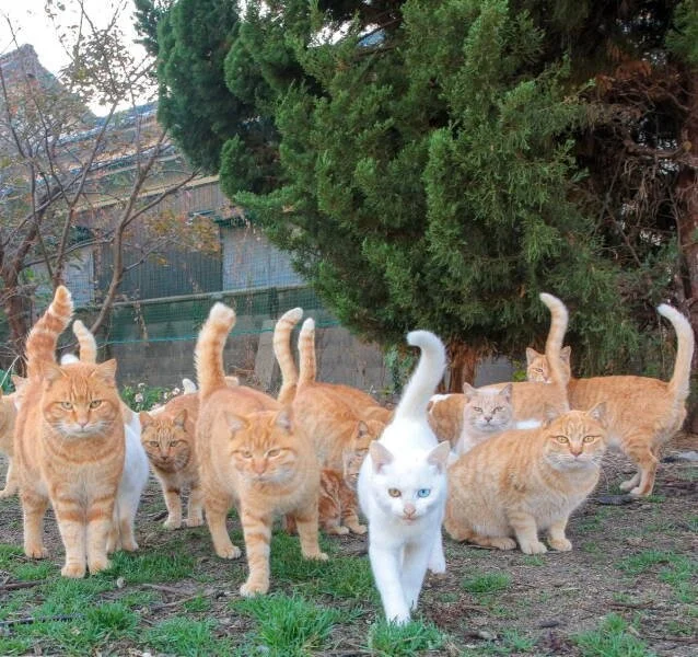 Снова намешалось