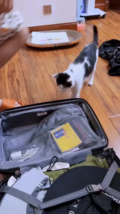 Без меня никуда не едешь