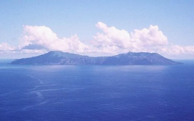 Одна жена для всех