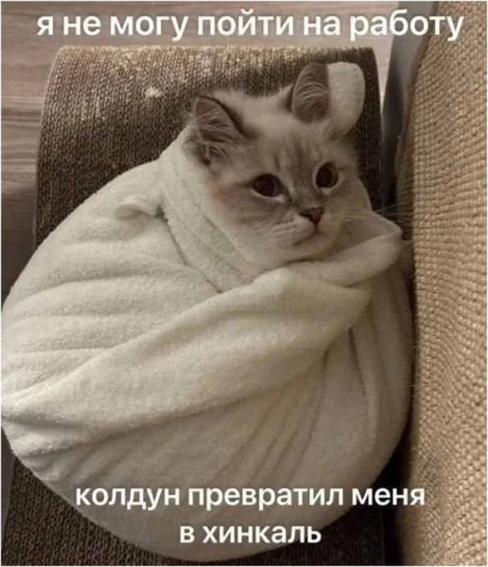 Зумер объяснил, почему не пришёл на работу — и это лучше любого оправдания