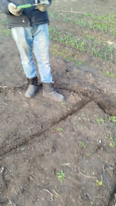 Землерезы!!!!
